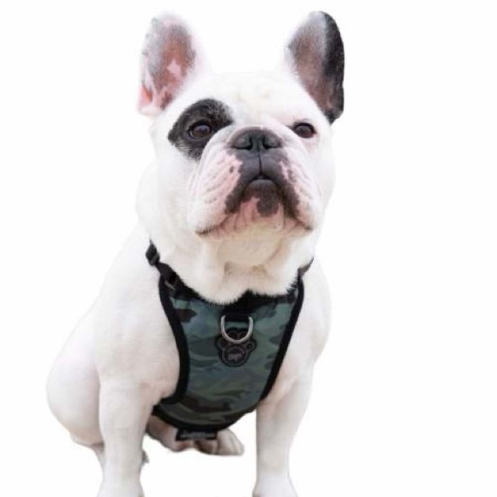 New Canada Pooch The Everything Water-Resistant Harness Camo
